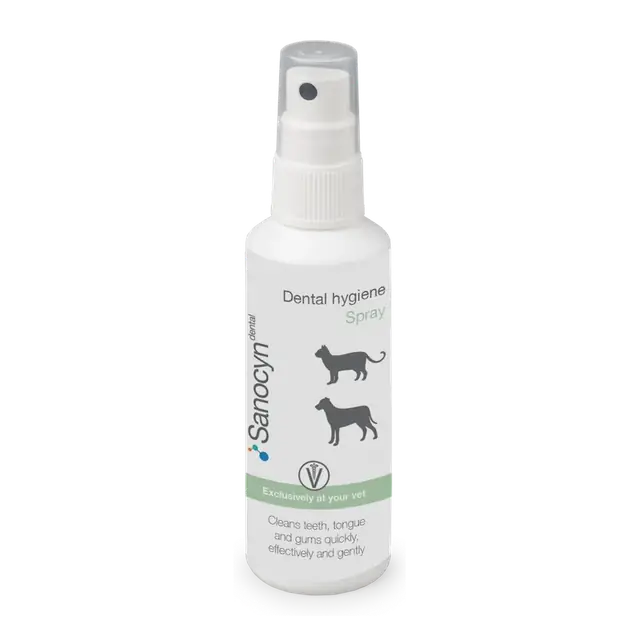 Sanocyn forte Dental Hygiene Spray